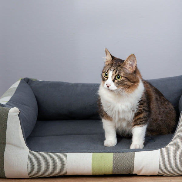 Cama Zoo para Mascotas Doble Faz Rayas Verde